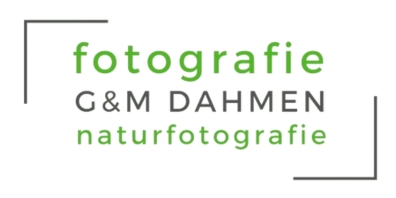 Logo der Naturfotografen G&M Dahmen aus Sollern. Kundenprojekt Homepageerstellung